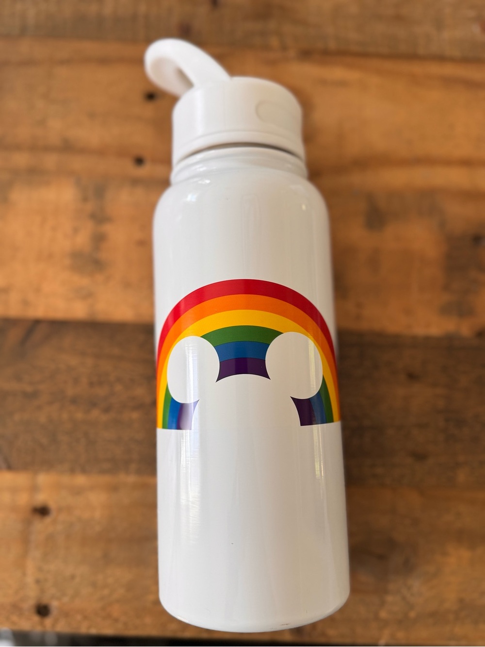 Disney Pride Collection Metal Water Bottle - Brand New! Never used!